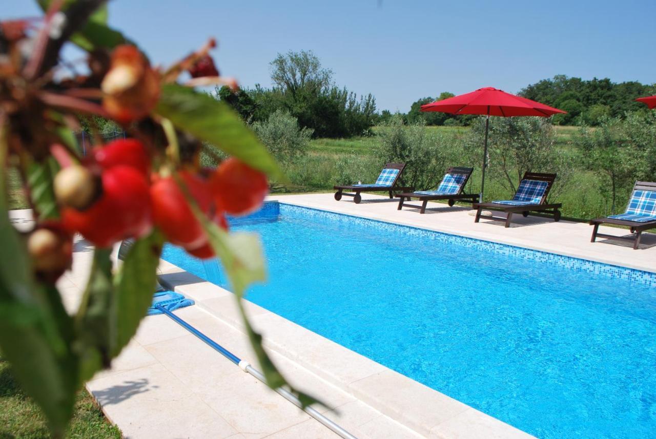 Villa Dorina Barban Exterior photo
